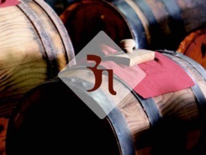 Barili di vino di rovere in cantina, maturazione e invecchiamento di vini pregiati, dettaglio di botti in bottega vinicola, produzione di vino artigianale, appunti sul blog.