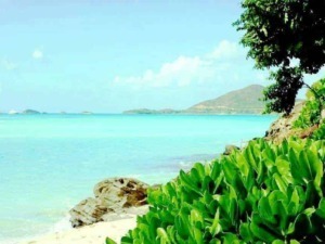 Spiaggia tropicale con acque blu e vegetazione verde lussureggiante, paesaggio costiero isolato e rilassante, perfetto per vacanze al mare e relax estivi.