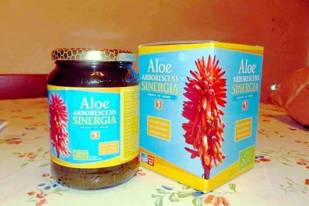 Aloe Arborescens Teo Natura