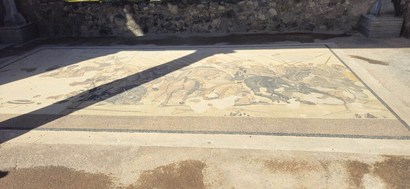 Dettagli di mosaici nella casa del Fauno. 2024