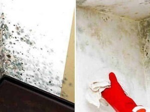 Muffa nera nell'angolo tra parete e soffitto
