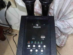 Microfoni senza fili e sistema audio portatile con control panel, ideale per karaoke e eventi, alta qualità audio, facile da usare, perfetto per feste e riunioni domestiche.