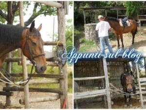 Cavallo al'aperto in stalla con struttura in legno, ambiente rurale e tranquillo, ideale per appassionati di equitazione e natura. Scene di cura e addestramento del cavallo all'aperto.