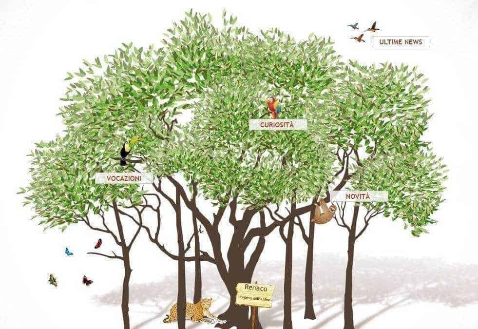 Esplorazione di un albero con ramoscelli che rappresentano diverse tematiche come vocazioni, curiosità, novità e ultime news, con scena di fauna e flora in un diagramma illustrativo.
