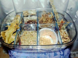Scomparto di erbe medicinali e spezie essiccate in contenitore di vetro per rimedi naturali.