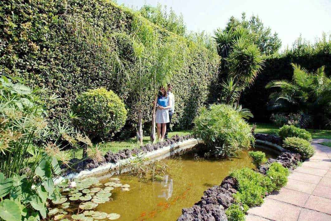 Arieggiare il prato in primavera