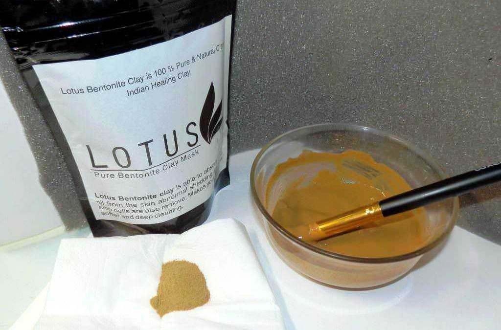 Polvere di argilla bentonite pura in una ciotola con pennello; prodotto naturale e naturale per la cura della pelle.
