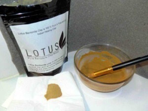 Polvere di argilla bentonite pura in una ciotola con pennello; prodotto naturale e naturale per la cura della pelle.