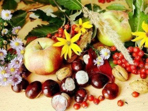 Muffa di mela, castagne, bacche rosse e fiori colorati su sfondo di legno, rappresentano un raccolto autunnale ricco di natura e stagionalità.