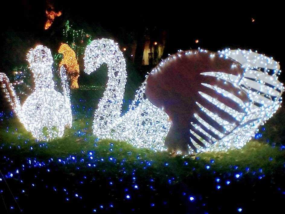 Illustrazione natalizia con luci a LED di cavalli, cuore e numeri 2022, decorazioni festive in un parco illuminato di notte, perfette per foto di stagione e decorazioni di fine anno.