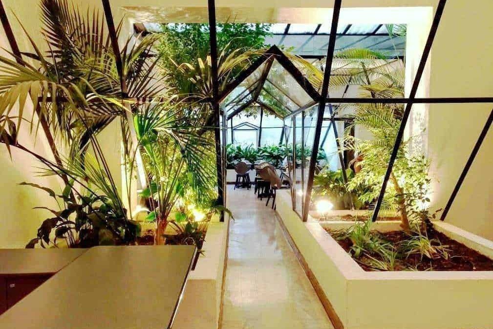 Verde interno, giardino tropicale in un ambiente con grandi vetrate e illuminazione naturale, perfetto per relax e incontri in un locale accogliente e moderno.