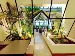 Verde interno, giardino tropicale in un ambiente con grandi vetrate e illuminazione naturale, perfetto per relax e incontri in un locale accogliente e moderno.