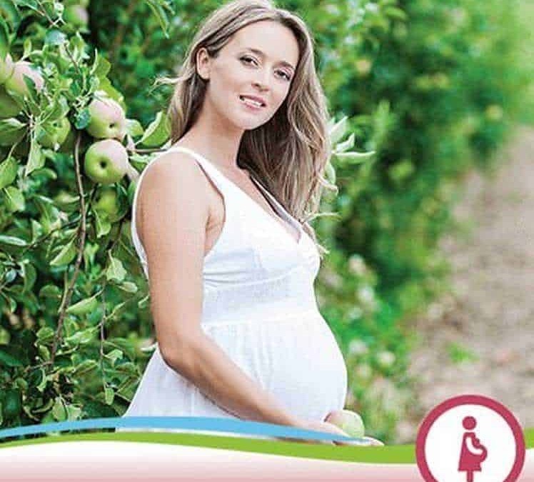 Filemonno pregnant apple