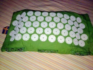 File name: fiori di cera bianca su tovaglia verde