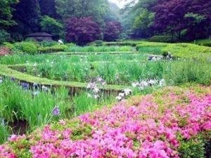 Vaste giardino fiorito con iris e azalee in un parco naturale verdeggiante, atmosfera tranquilla e rilassante, ideale per passeggiate e fotografia di natura.