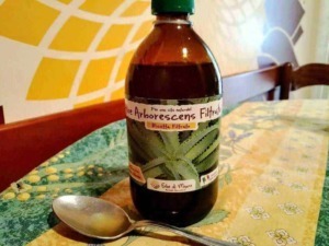 Bottiglia di infuso di aloe vera naturale con etichetta illustrativa di piante di Aloe Vera, su tavolo decorato, foto come esempio di rimedio naturale e benessere.