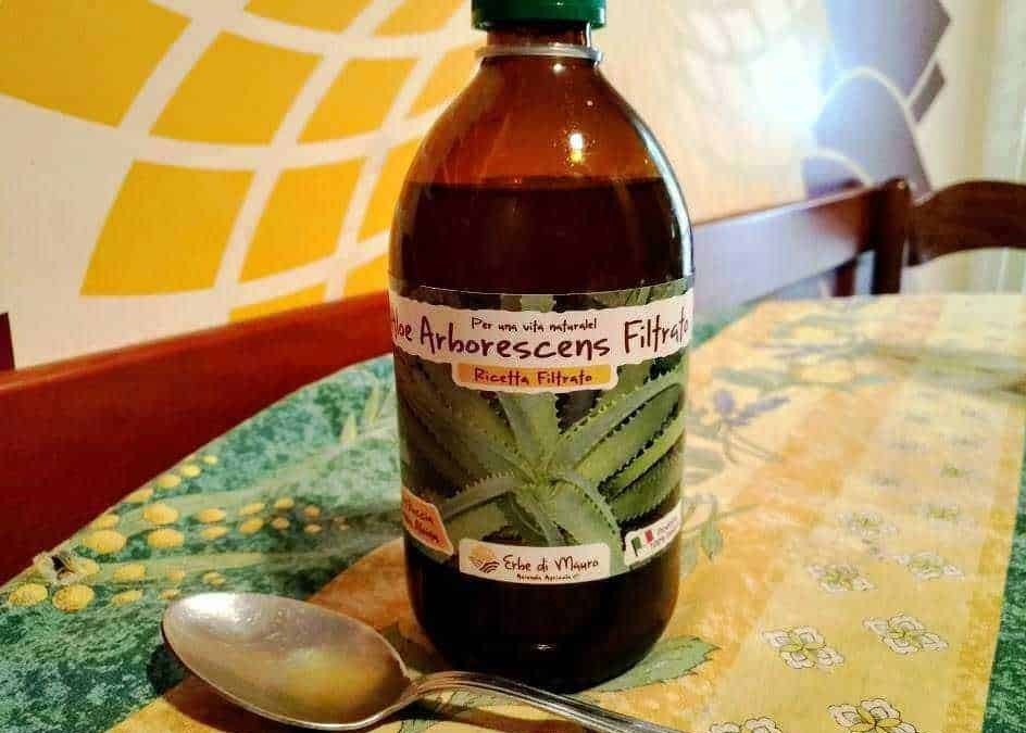 Bottiglia di infuso di aloe vera naturale con etichetta illustrativa di piante di Aloe Vera, su tavolo decorato, foto come esempio di rimedio naturale e benessere.