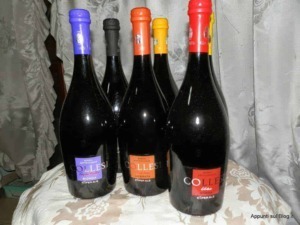 Bottiglie di vino rosso con etichette colorate, posizionate su un tavolo con tende di velluto sullo sfondo, rappresentano vini artigianali italiani di alta qualità.