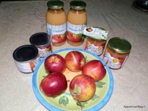 Marmellata di mele e pesche fatta in casa con croccante mela rossa su piatto decorativo, conserve di frutta in vasetti e altra confettura su tavolo di tessuto.