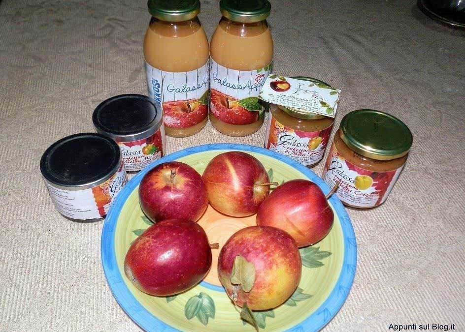 Marmellata di mele e pesche fatta in casa con croccante mela rossa su piatto decorativo, conserve di frutta in vasetti e altra confettura su tavolo di tessuto.