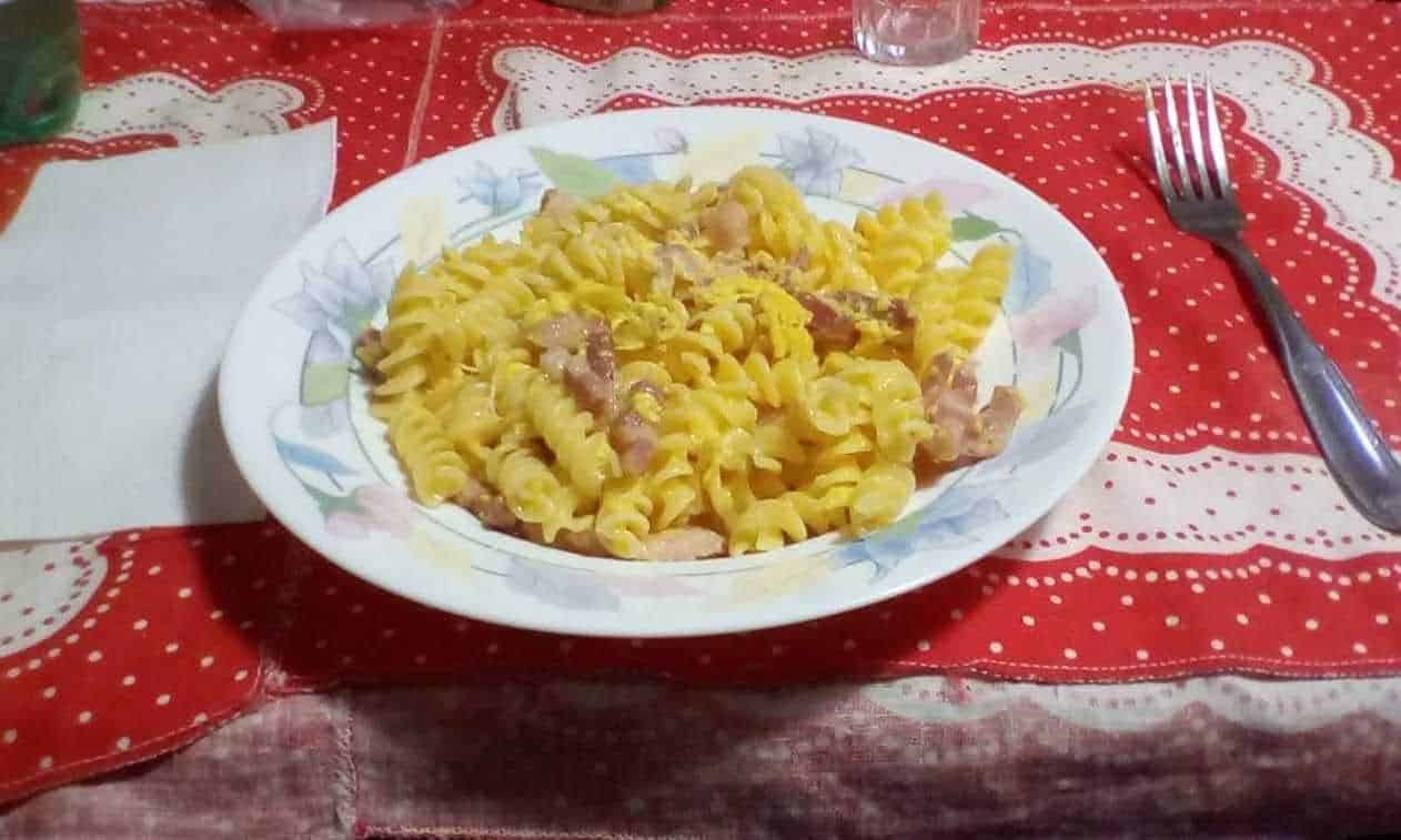 Pasta di penne integrali con funghi, pomodori secchi e erbe fresche in un piatto di cucina italiana fresca e salutare.