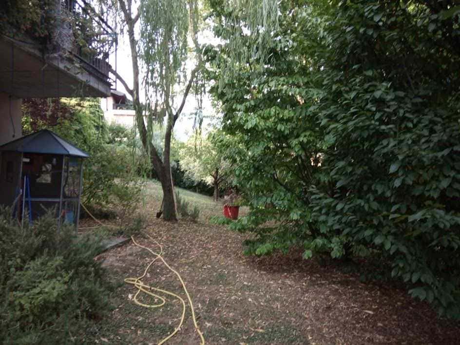 L'immagine mostra un giardino verde con alberi e cespugli rigogliosi, un'area ricca di natura, perfetta per relax e giochi all'aperto. Un gazebo si intravede sulla sinistra, mentre un tubo di acqua giallo si trova sul terreno, creando un'atmosfera serena e naturale.