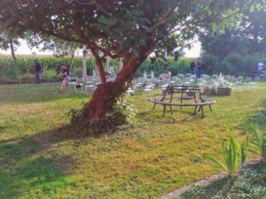 Pranzo all'aperto in giardino con alberi e sedie bianche, atmosfera tranquilla durante il tramonto.