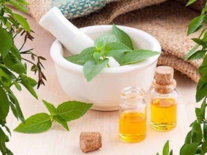Vaso di erbe aromatiche e oli essenziali in bottiglie di vetro su tavolo in legno, con foglie verdi e piante, simbolo di benessere naturale e rimedi botanici.