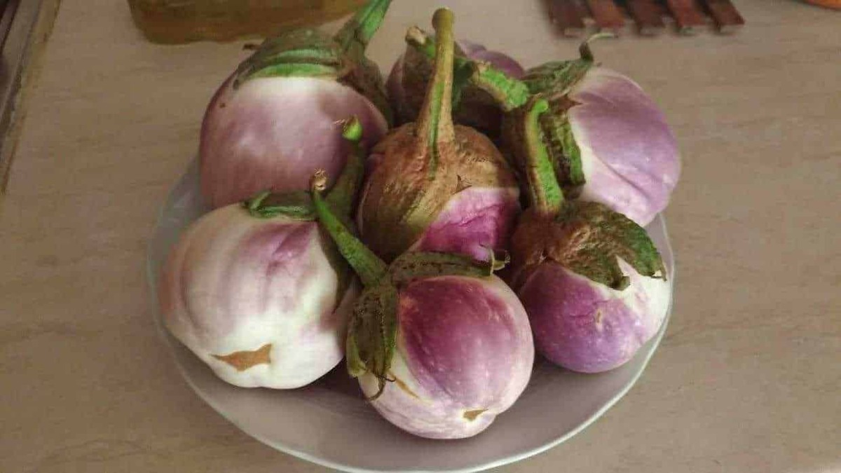Pomodori di tondo di varie dimensioni con colore rosa e verde, presentati in una ciotola su un tavolo di legno, pronti per essere mangiati o usati nella cucina italiana.