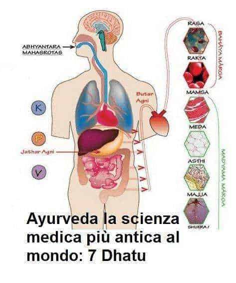Ayurveda la scienza medica piu antica al mondo