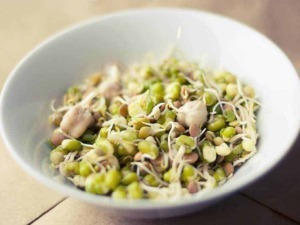 Prodotti di germogli di soia in una ciotola, alimento salutare e ricco di nutrienti, ideale per ricette sane e vegetariane.