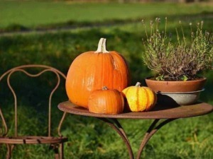 Zucca arancione e gialla con decorazione autunnale su tavolo di metallo in giardino, ambientazione rurale, ortaggi di stagione per decorazione e cucina autunnale, atmosfera calda e accogliente.