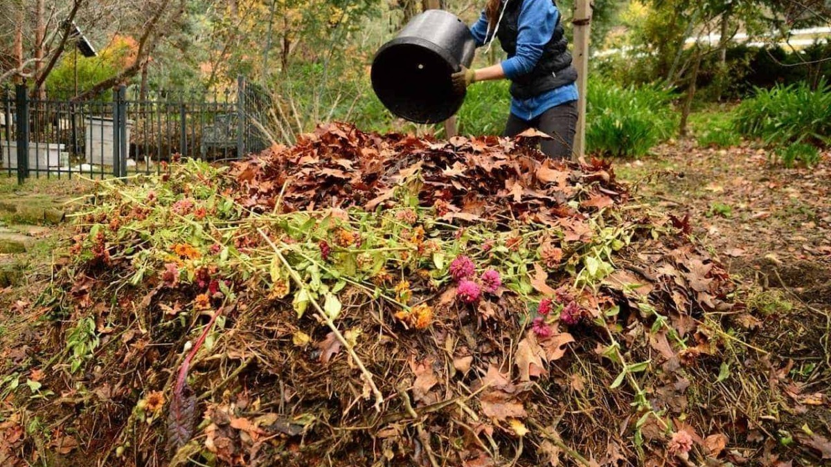 Foglie autunnali, compostaggio di foglie secche, donne che raccolgono foglie nel giardino, ambiente naturale, educazione ecologica, riciclo e sostenibilità.