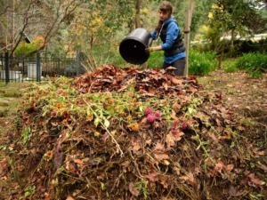 Foglie autunnali, compostaggio di foglie secche, donne che raccolgono foglie nel giardino, ambiente naturale, educazione ecologica, riciclo e sostenibilità.