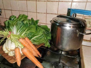 Carote e cicoria fresche su ripiano vicino a pentola sul fornello in cucina.
