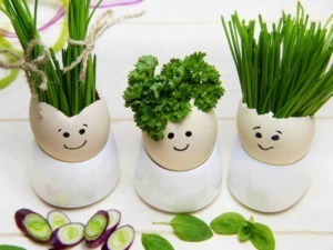 Tovagliette di ceramica con otomila e germogli di erbe aromatiche in vasetti decorati con faccine sorridenti, ideali per decorare la cucina o la tavola con stile e allegria.