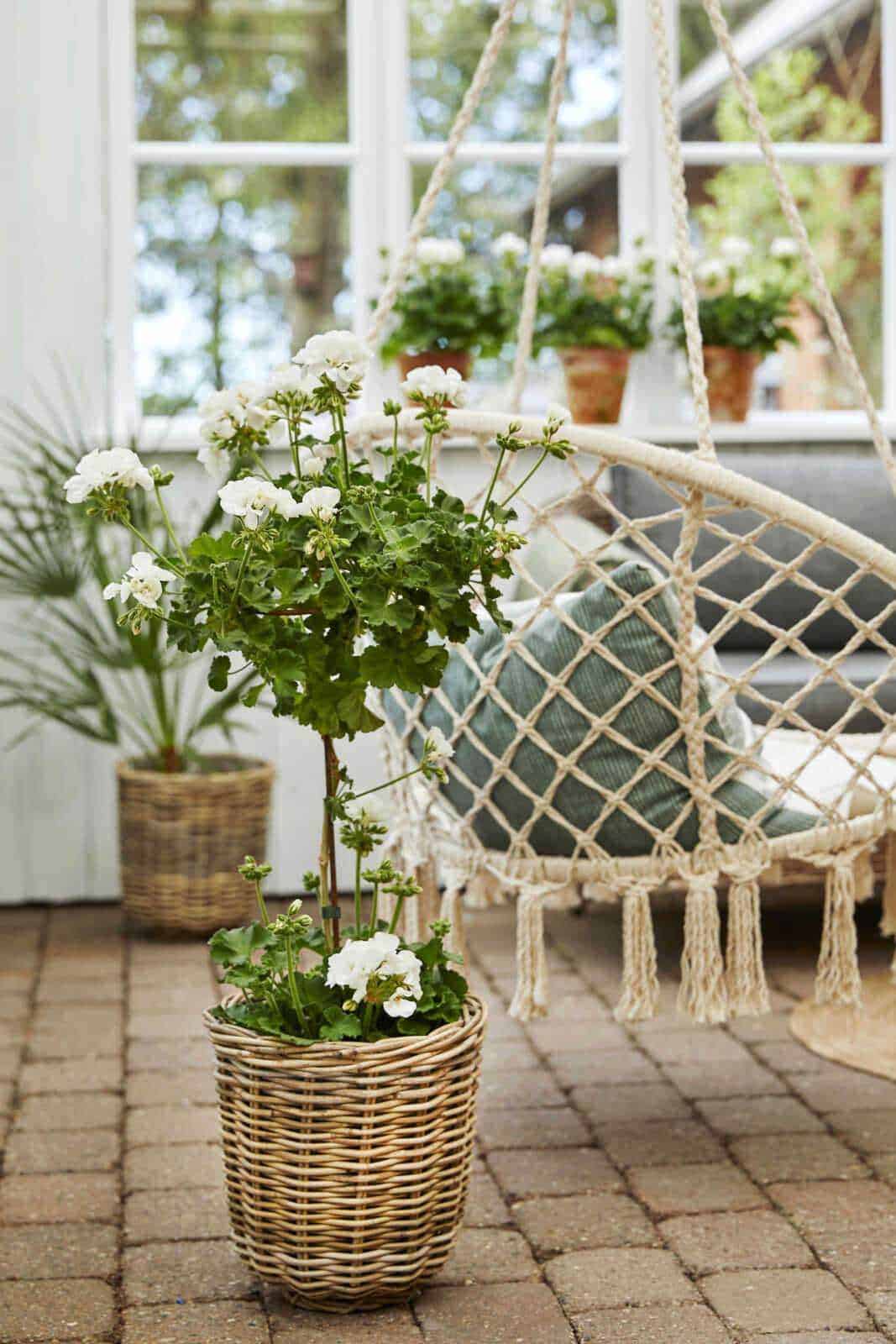 Vaso di fiori bianchi su terra in pietra, ambiente esterno con piante verdi, decorazioni in vimini e seduta sospesa in corda, atmosfera rilassante e naturale.
