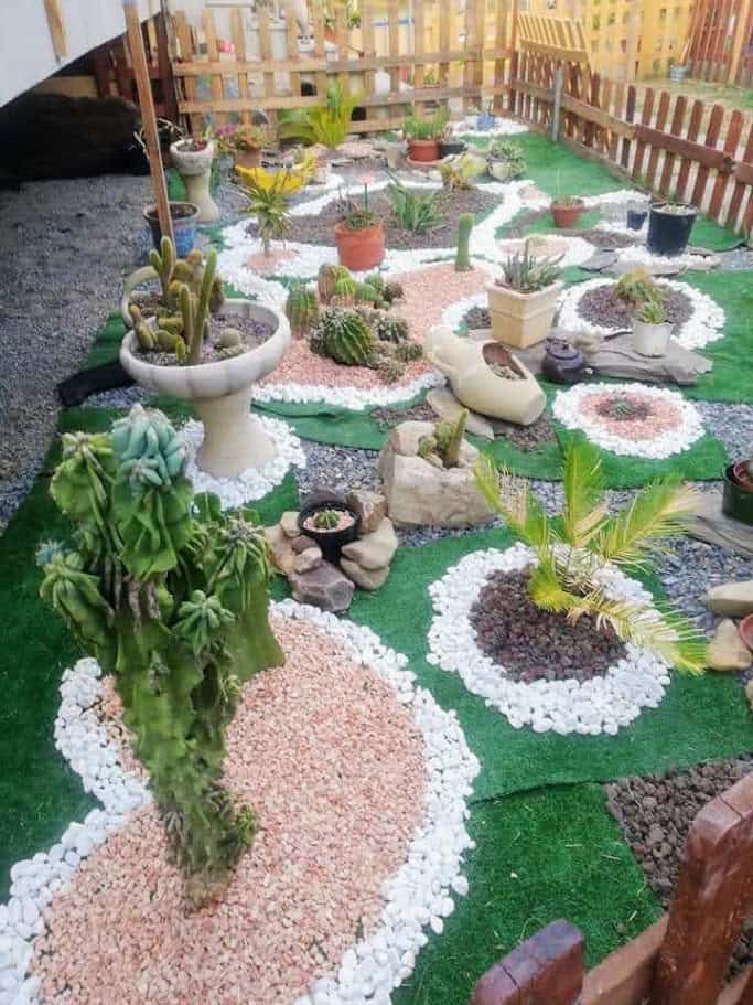Composizione di piante grasse fiorite da interno: cactus e succulente in vaso
