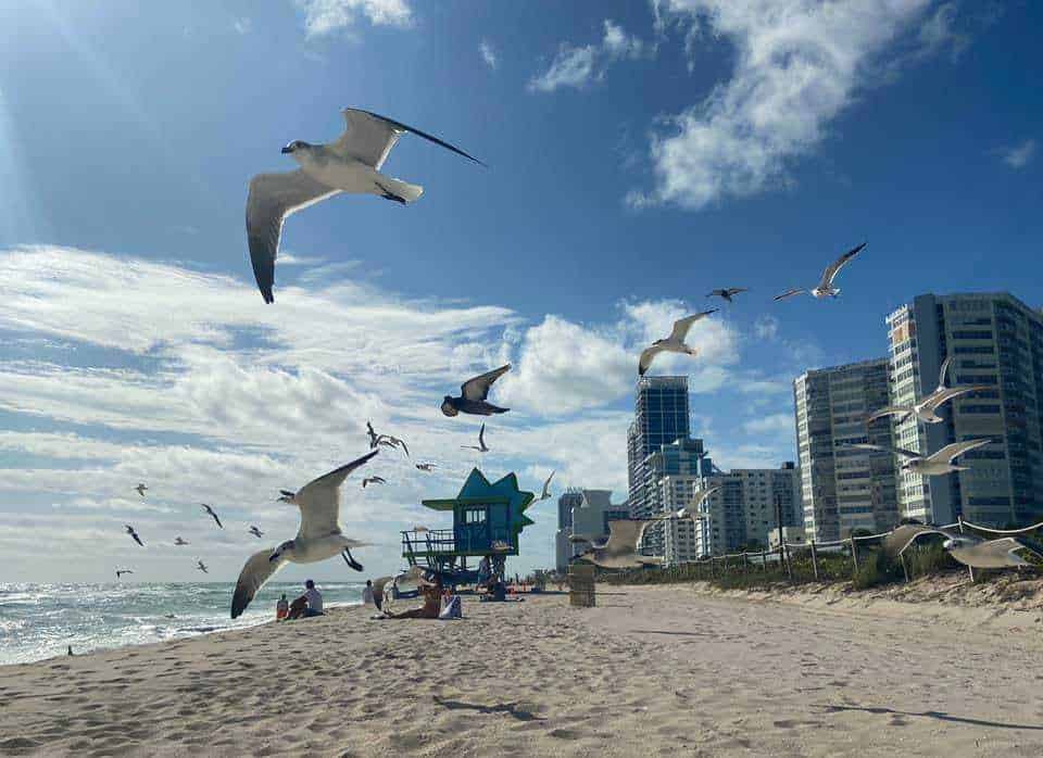Cosa vedere a Miami Beach
