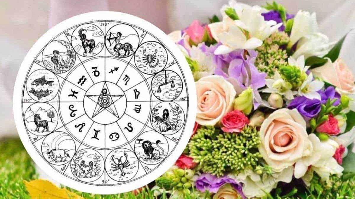Profilo zodiacale con le 12 costellazioni dell'oroscopo occidentale, fiori freschi e colorati, sfondo naturale con prato verde.