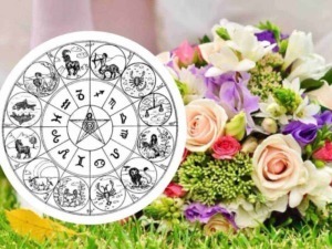 Profilo zodiacale con le 12 costellazioni dell'oroscopo occidentale, fiori freschi e colorati, sfondo naturale con prato verde.