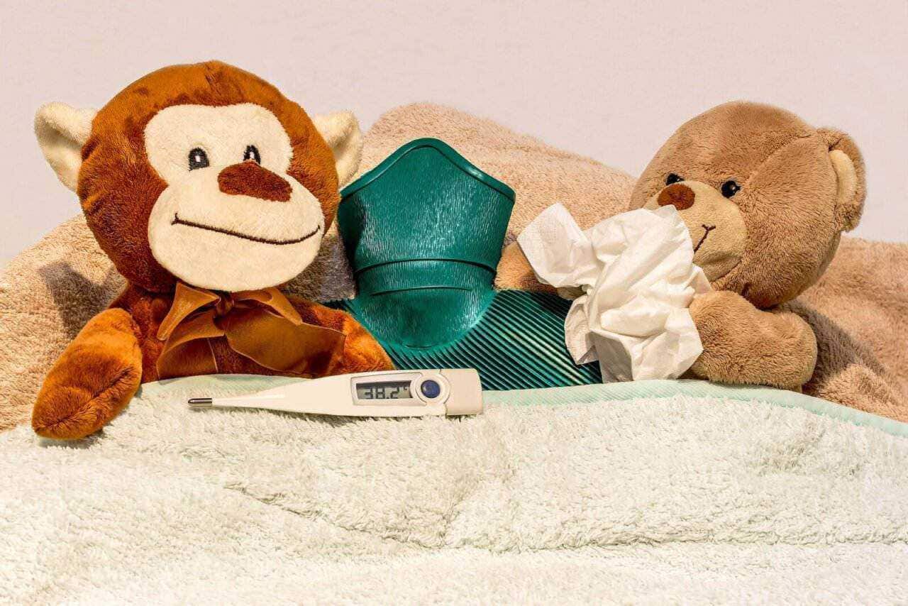 Starnuti 11 cause comuni e rimedi 4 Peluche di scimmia e orsetto con termometro e ciuccio su coperta, temperatura corporea, malattia bambini, giochi e medicine, fantasia e cura infantile, oggetti morbidi e rassicuranti, appunti sul blog.