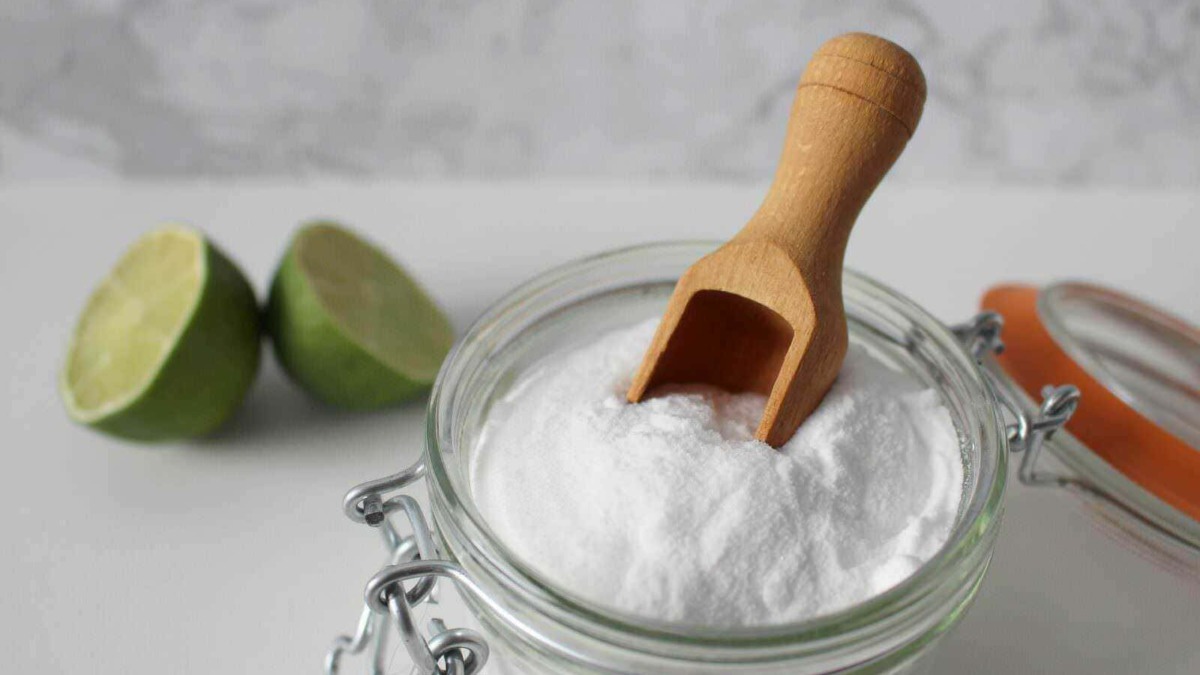 Sale di lime e sale grosso in barattolo con scoiattolo di legno, salsa di limone fresca e sale marino naturale, ideale per cucinare sano e gustoso.