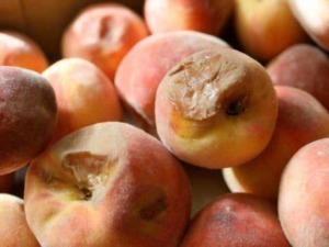 Pesche fresche e succose, ideale per ricette dolci o gustare come spuntino salutare. Frutta di alta qualità, perfetta per una dieta equilibrata e ricca di vitamine.