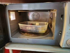 Microonde con contenitore di plastica all'interno, cucina domestica, utilizzo del microonde, riscaldamento alimenti, elettrodomestici da cucina.