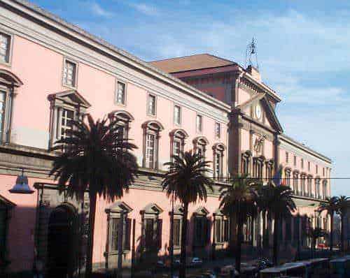 Palazzo storico color rosa con alberi di palma lungo la facciata, cielo azzurro, architettura elegante, edifici di valore storico e culturale, destinazione turistica, bellezza architettonica di Napoli.