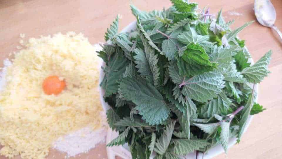 Ortiche fresche su tavolo di legno chiaro, ideali per tisane e preparazioni culinarie.