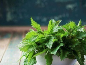 Foglia di garniglia fresca e verde in vaso, pianta aromatica da coltivare in casa o giardino, ideale per cucina e rimedi naturali.
