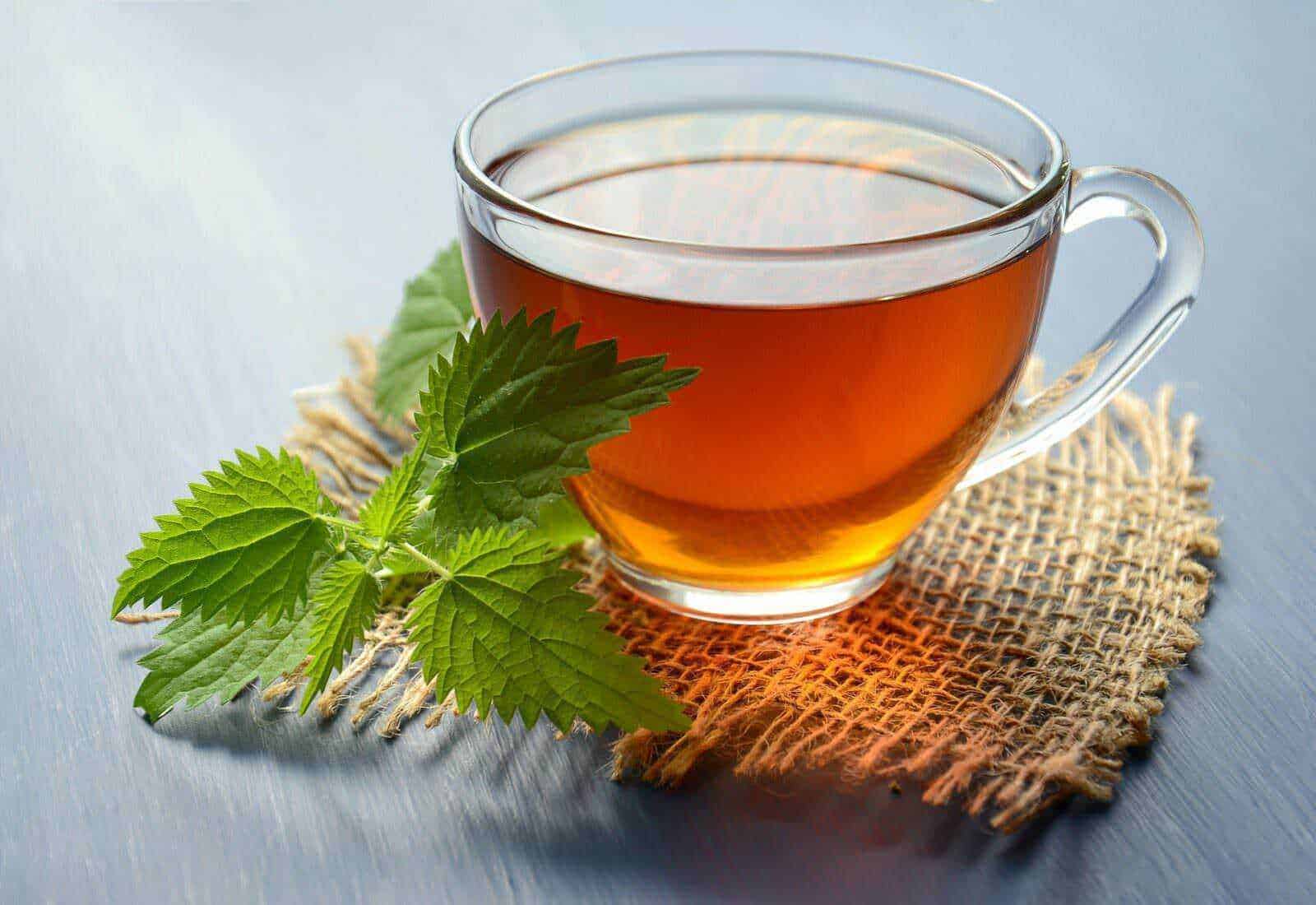 Ortica, spiccate proprietà antiallergiche.