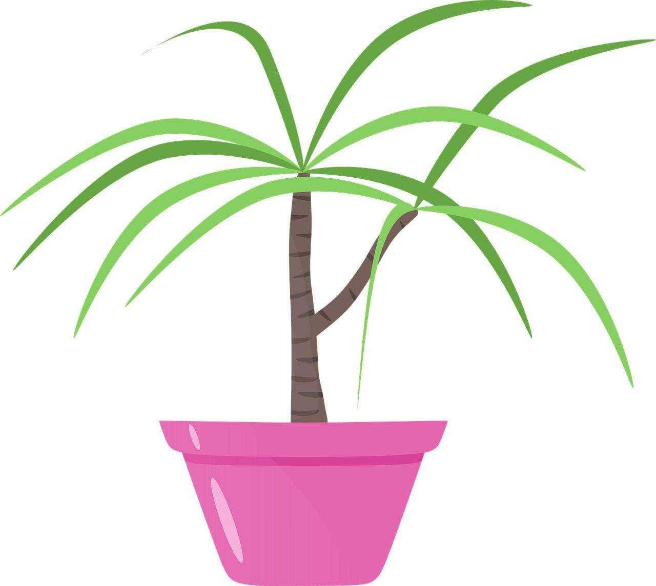 Foglioline verdi su pianta di piante in vaso, illustrazione vettoriale, decorazione botanica per articoli su giardinaggio e piante.